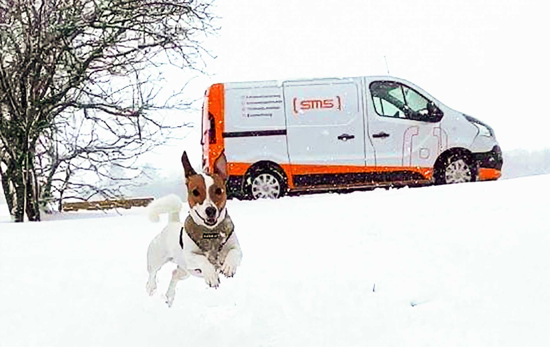 Einsatz im Schnee für Schimmelspürhund Sam | SMS Group